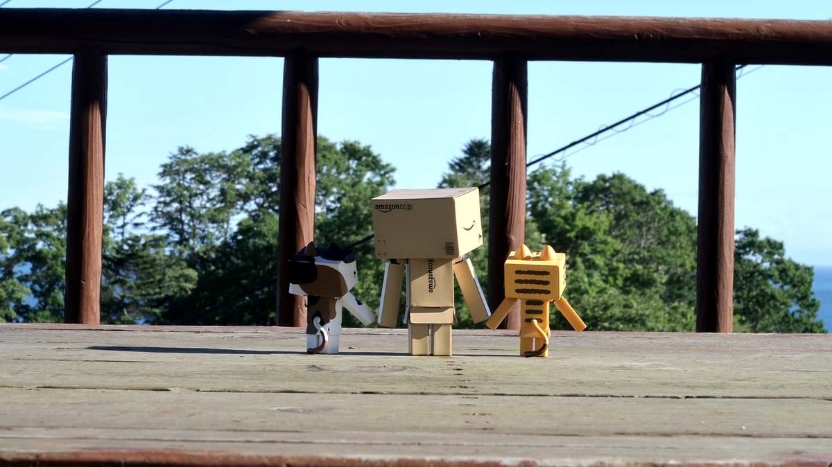 f:id:shirokumapanda:20200613221346j:plain