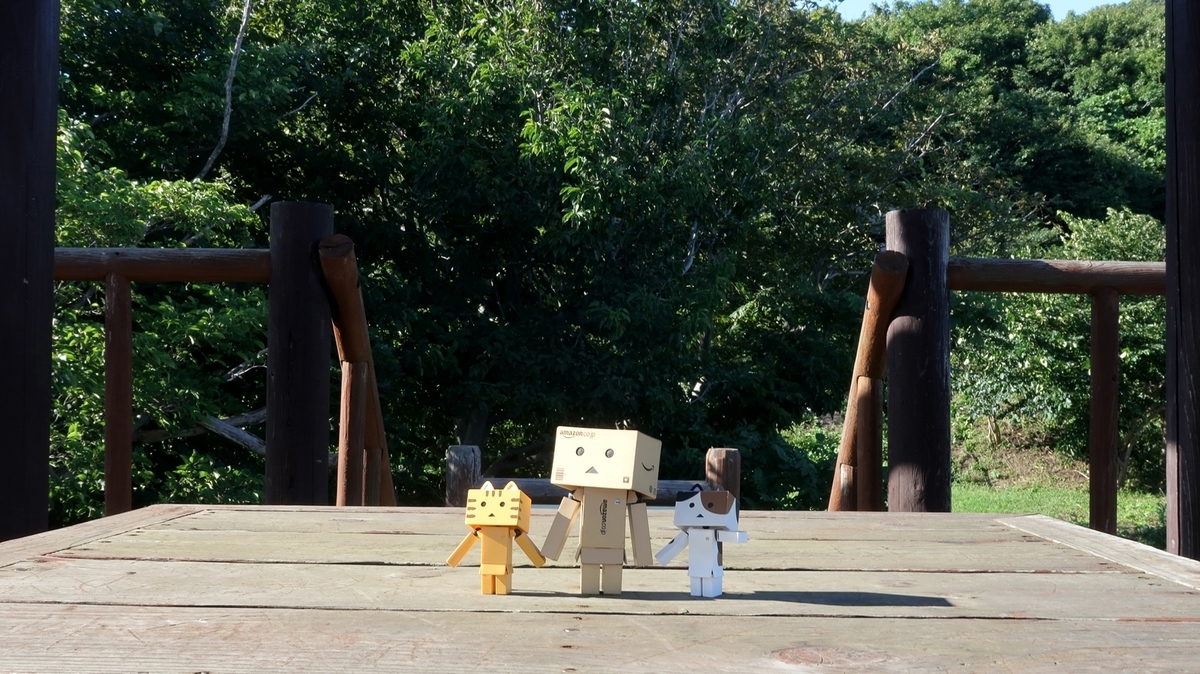 f:id:shirokumapanda:20200613221353j:plain