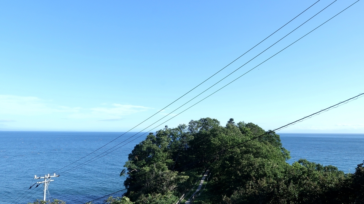 f:id:shirokumapanda:20200613221359j:plain