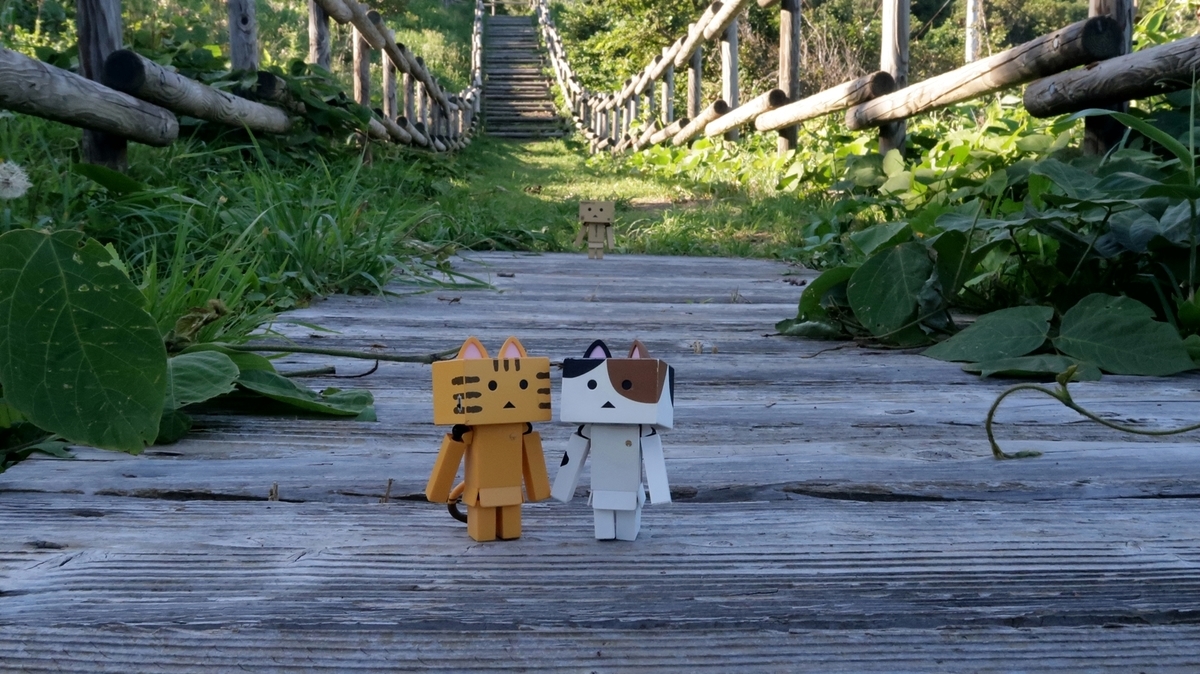 f:id:shirokumapanda:20200613221405j:plain