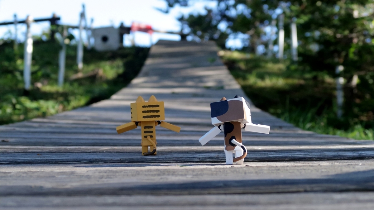 f:id:shirokumapanda:20200613221422j:plain