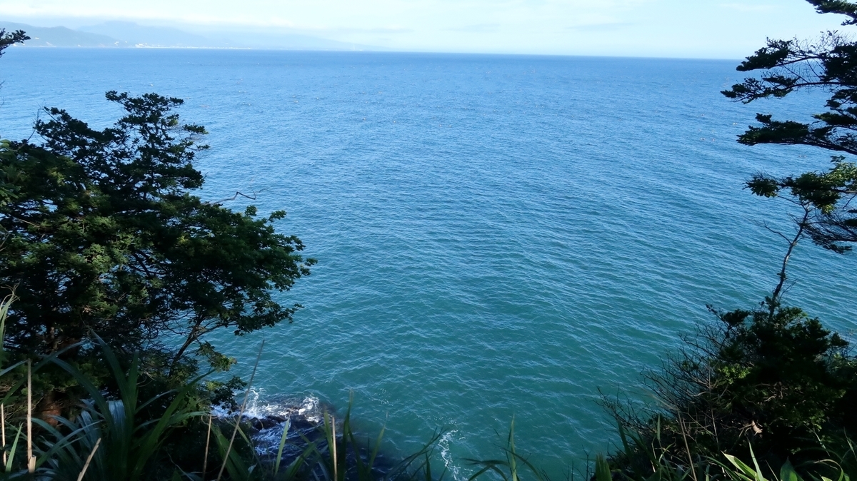 f:id:shirokumapanda:20200613221427j:plain