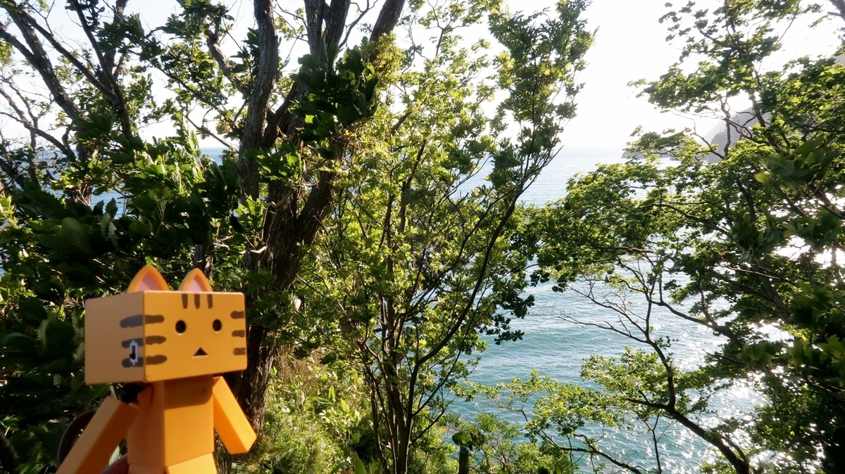 f:id:shirokumapanda:20200613221438j:plain