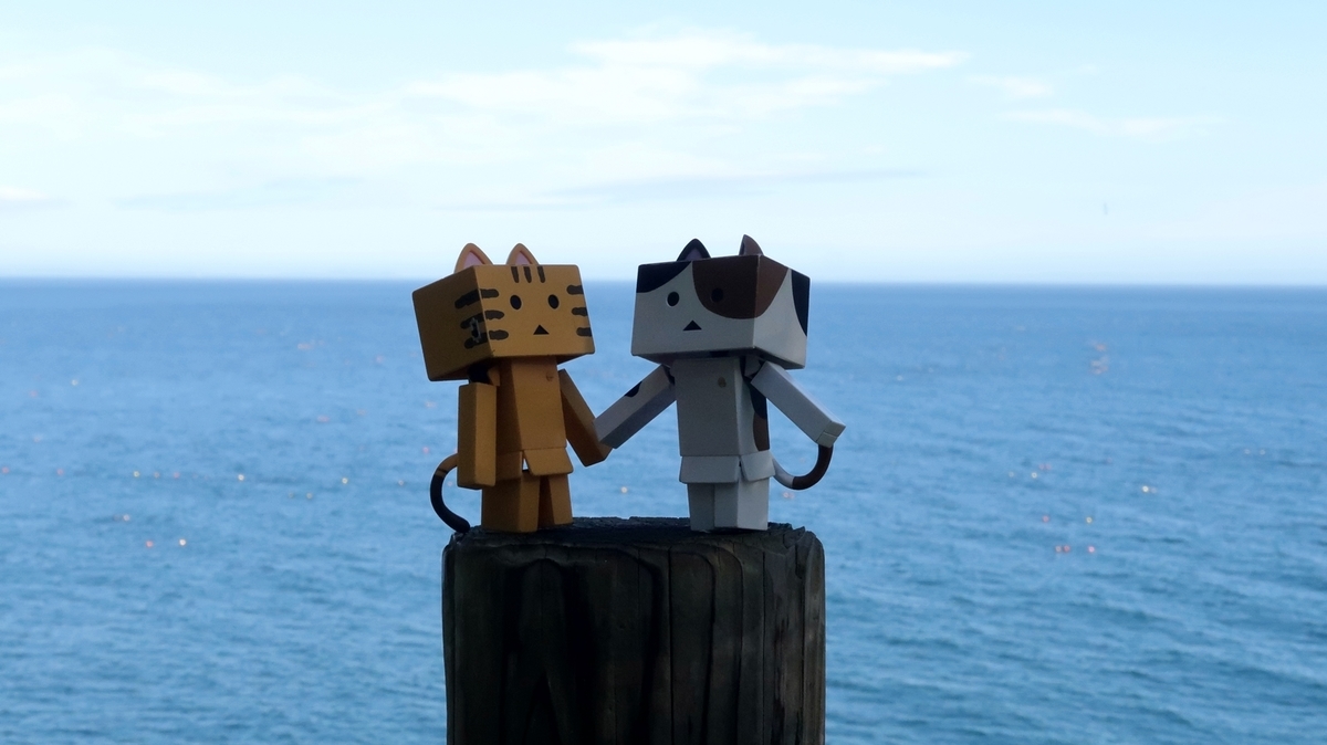 f:id:shirokumapanda:20200613221445j:plain