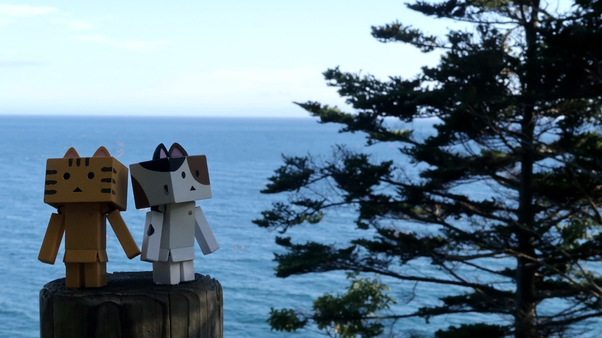 f:id:shirokumapanda:20200613221451j:plain