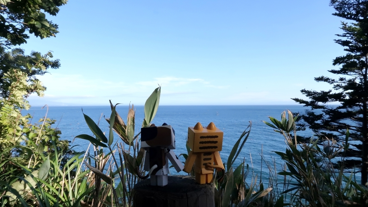 f:id:shirokumapanda:20200613221457j:plain