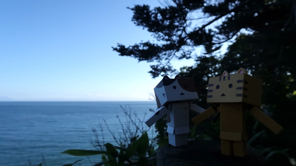 f:id:shirokumapanda:20200613221503j:plain