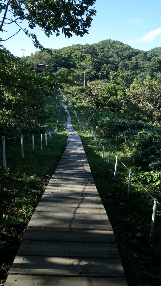 f:id:shirokumapanda:20200613221511j:plain