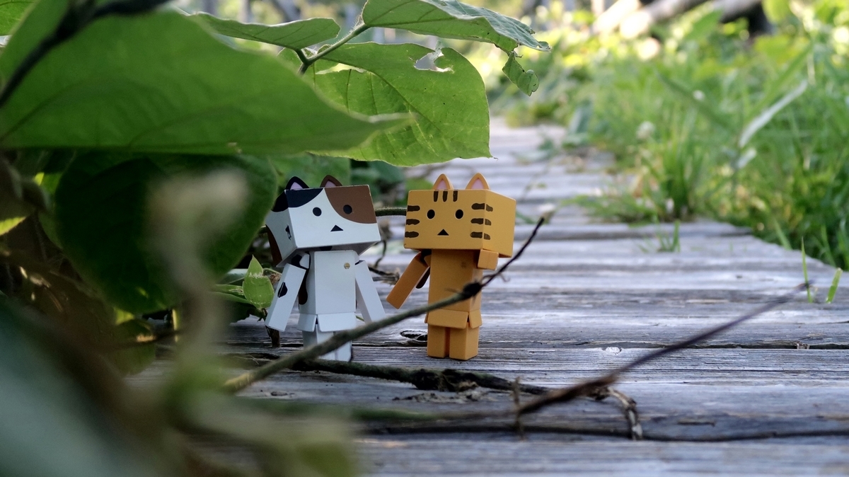 f:id:shirokumapanda:20200613221516j:plain