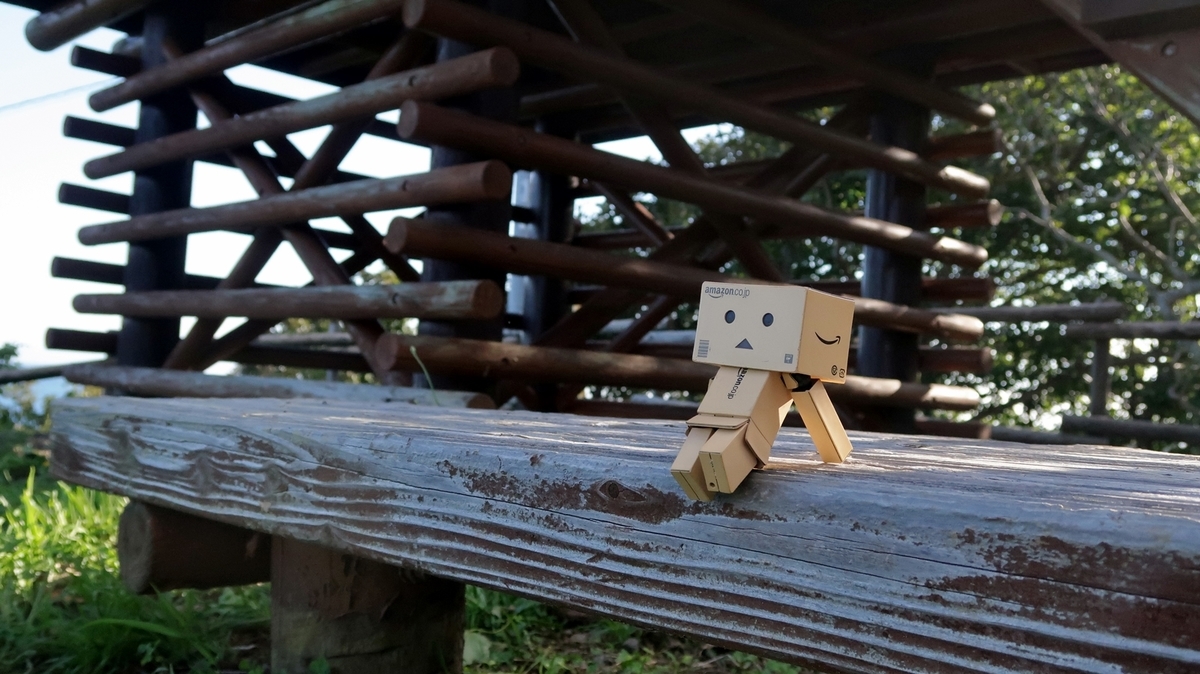 f:id:shirokumapanda:20200613221525j:plain