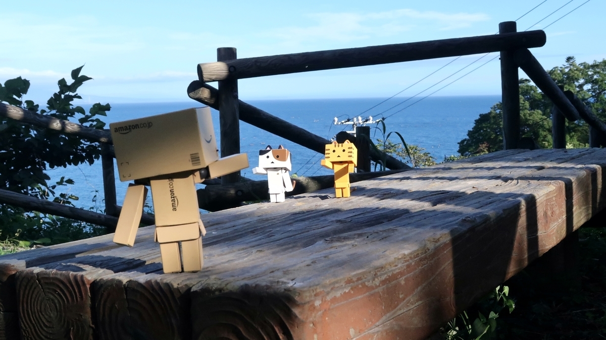 f:id:shirokumapanda:20200613221533j:plain