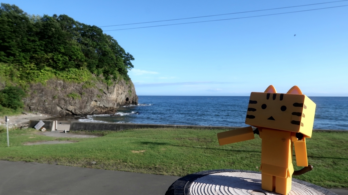 f:id:shirokumapanda:20200613221556j:plain