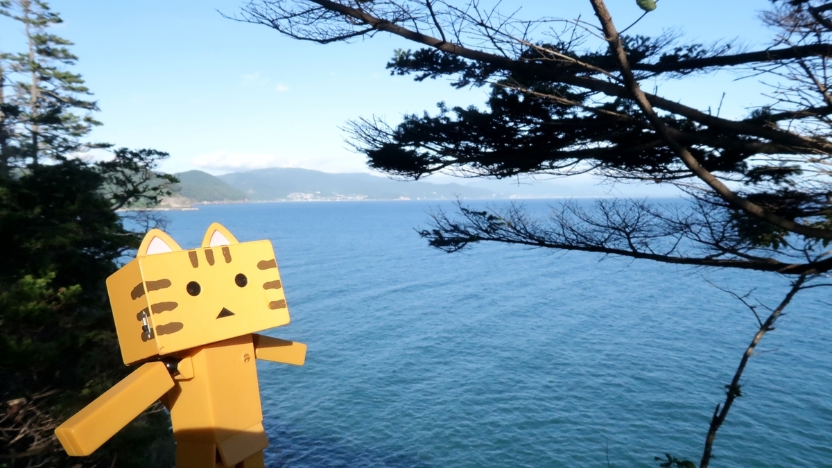 f:id:shirokumapanda:20200613230423j:plain