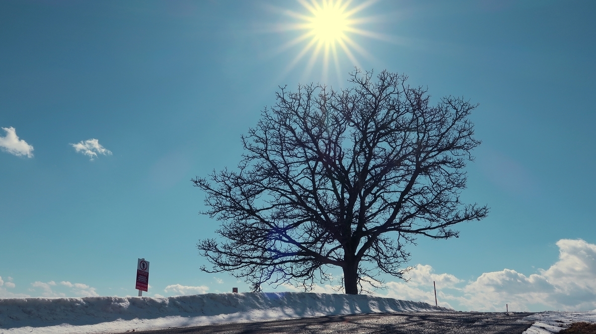 f:id:shirokumapanda:20200620204202j:plain