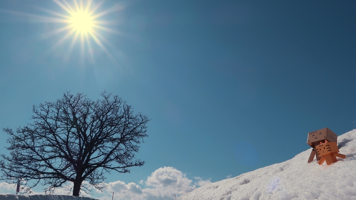 f:id:shirokumapanda:20200620204208j:plain