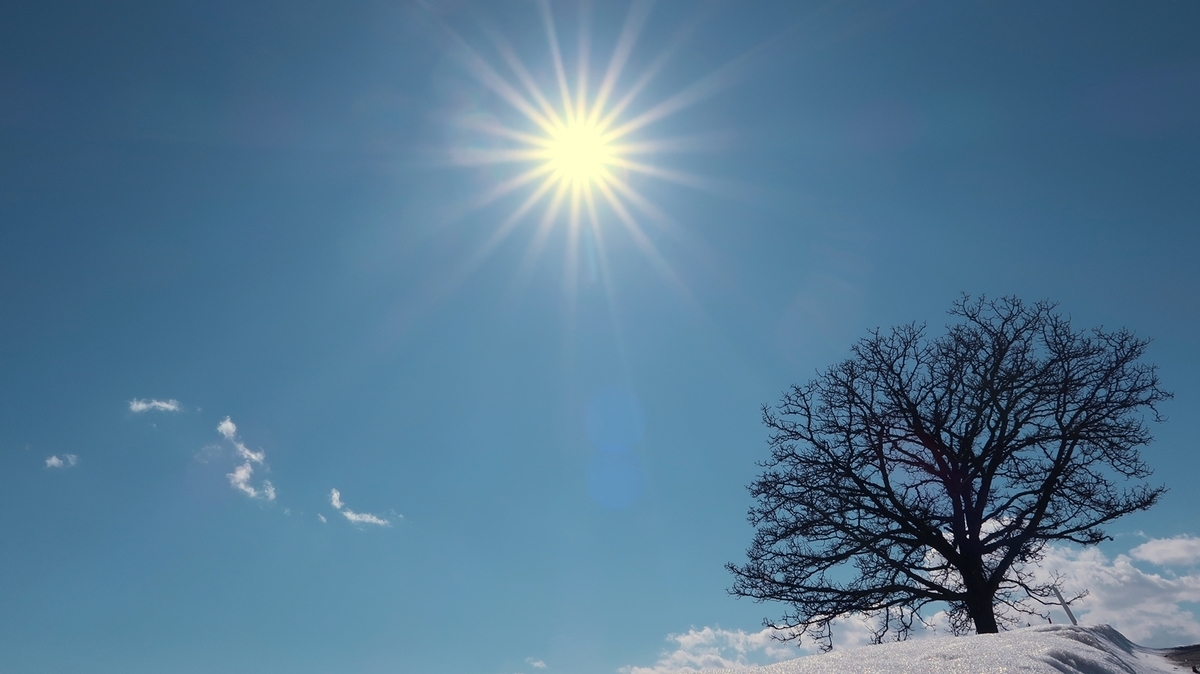 f:id:shirokumapanda:20200620204214j:plain