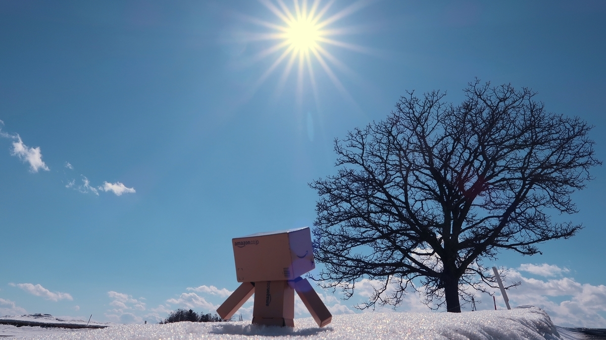 f:id:shirokumapanda:20200620204222j:plain