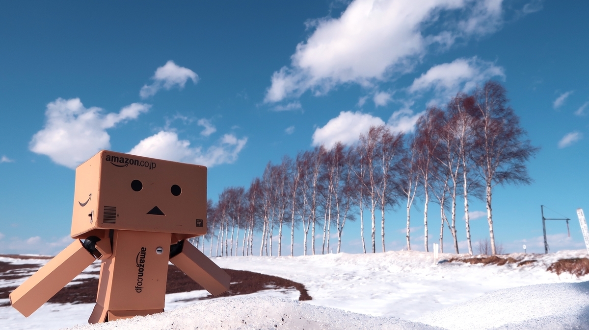 f:id:shirokumapanda:20200620204228j:plain