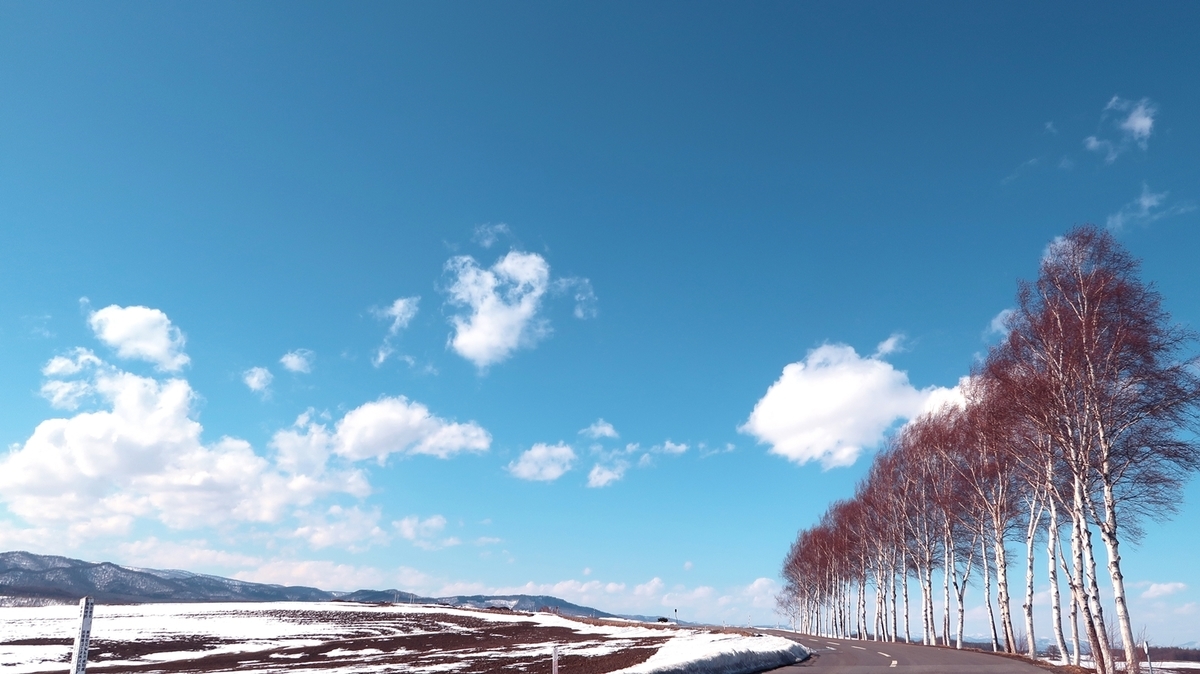 f:id:shirokumapanda:20200620204236j:plain