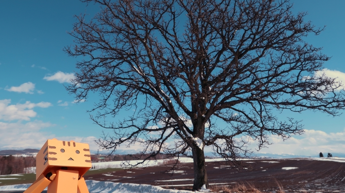 f:id:shirokumapanda:20200620204249j:plain