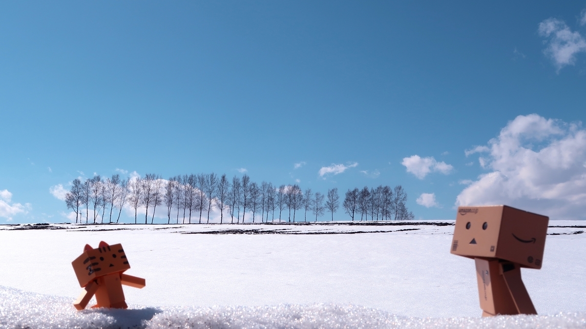 f:id:shirokumapanda:20200620204256j:plain