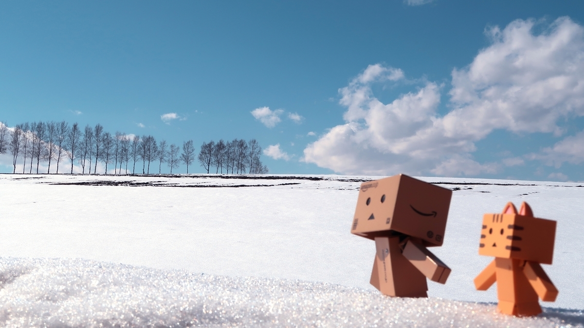 f:id:shirokumapanda:20200620204302j:plain