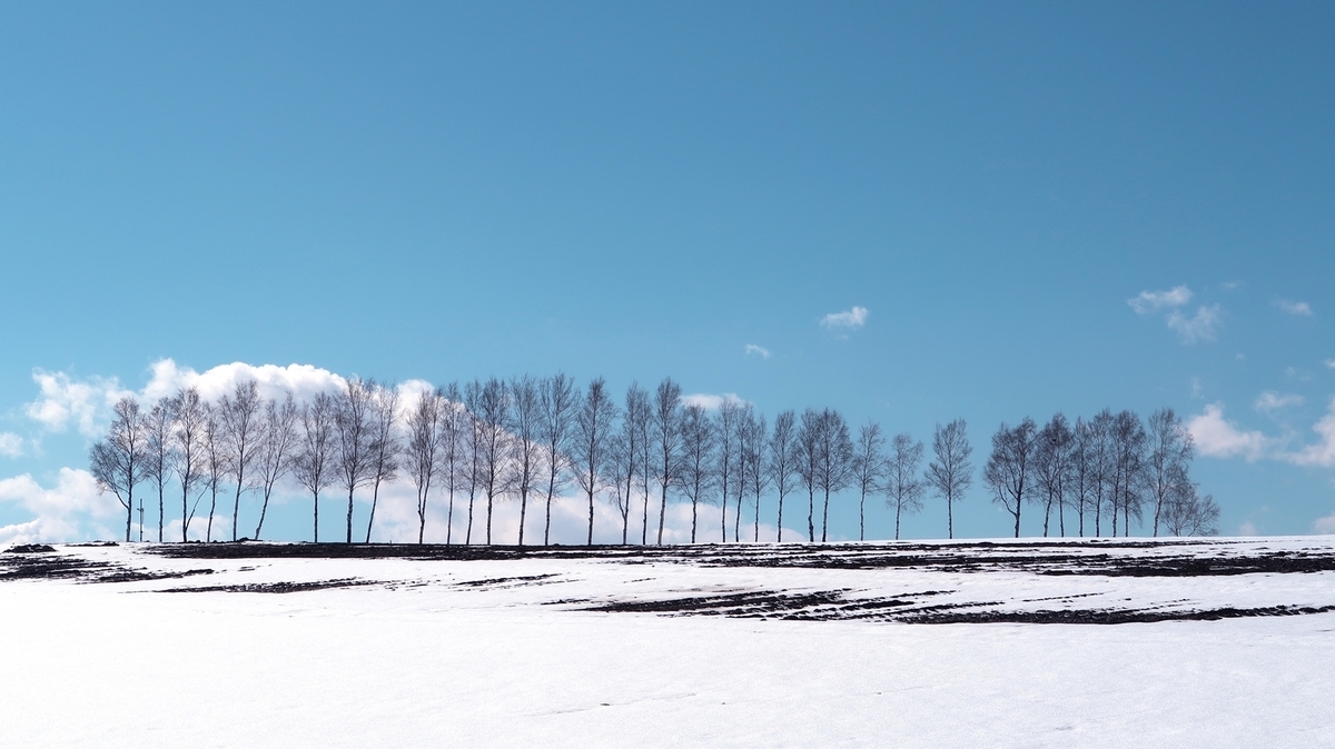 f:id:shirokumapanda:20200620204308j:plain