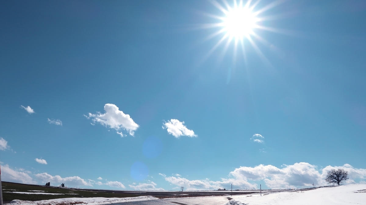 f:id:shirokumapanda:20200620204322j:plain