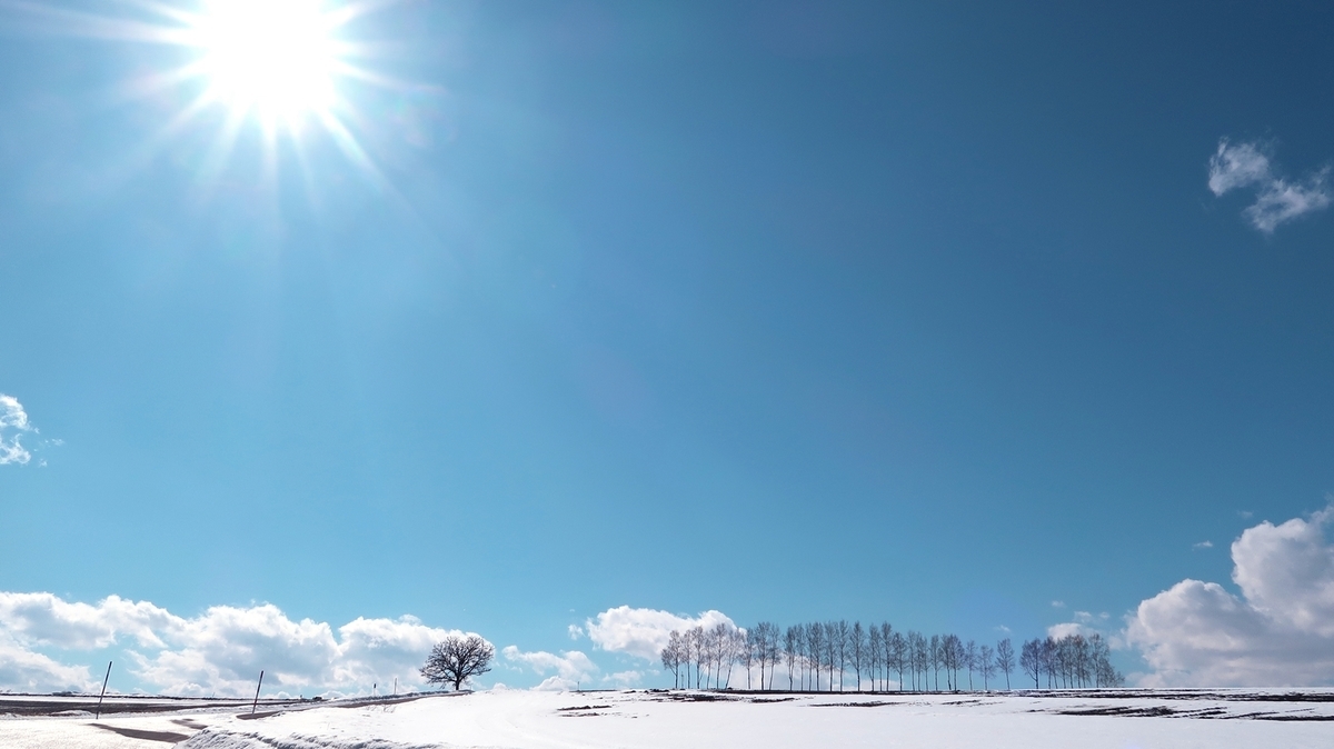 f:id:shirokumapanda:20200620204329j:plain