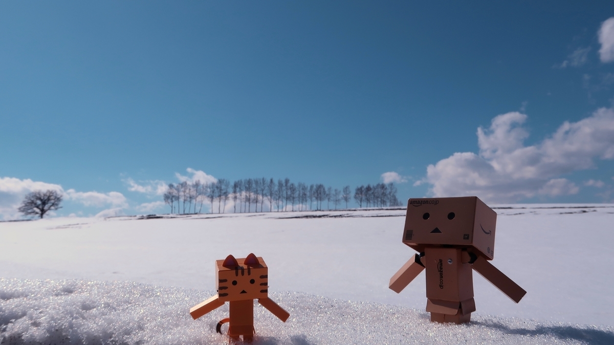 f:id:shirokumapanda:20200620204335j:plain