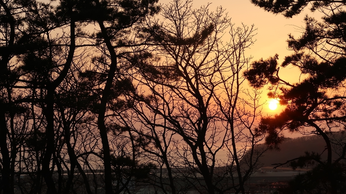 f:id:shirokumapanda:20200625020928j:plain