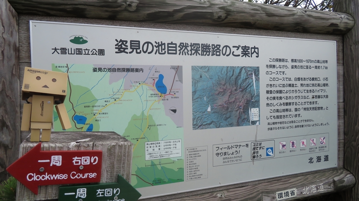 f:id:shirokumapanda:20200627232750j:plain