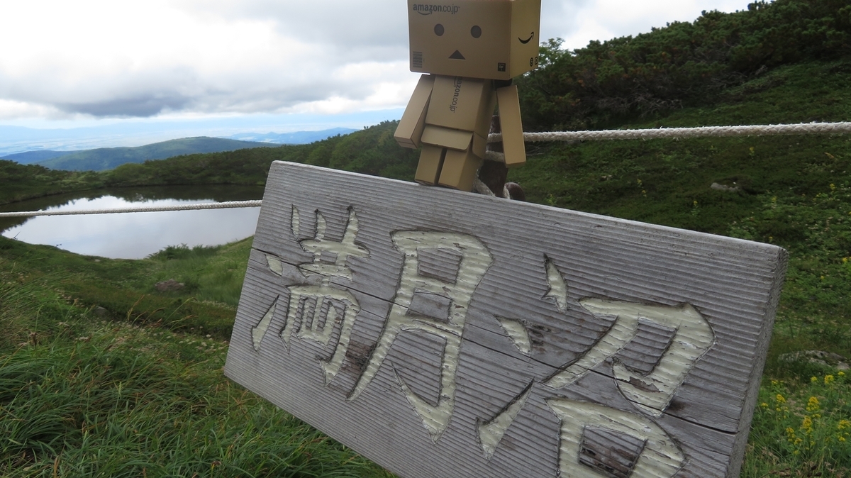 f:id:shirokumapanda:20200627232938j:plain