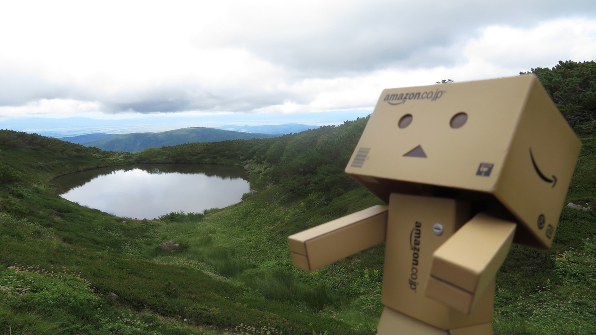 f:id:shirokumapanda:20200627232945j:plain