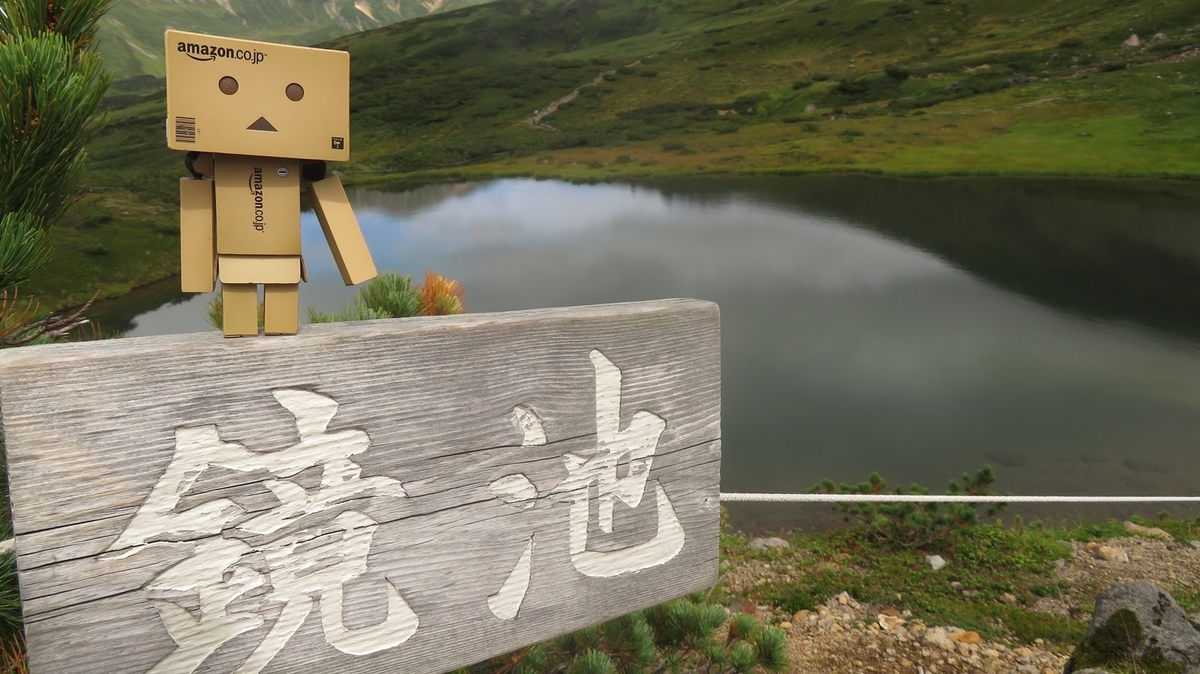 f:id:shirokumapanda:20200627233029j:plain