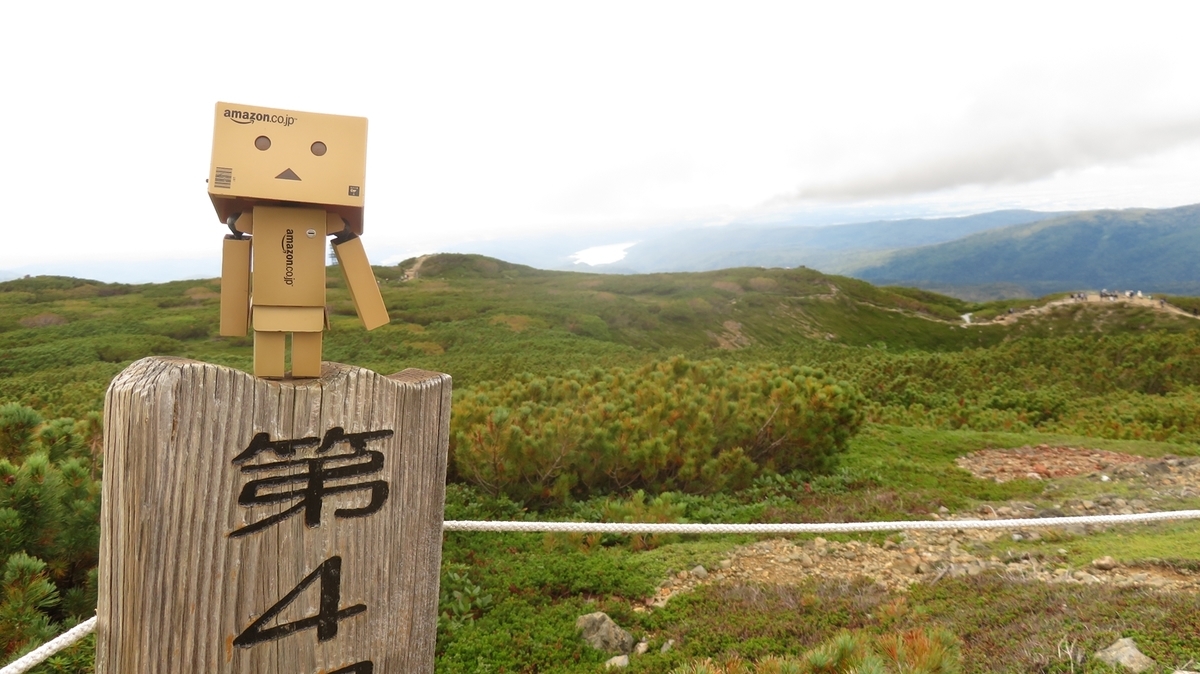 f:id:shirokumapanda:20200627233144j:plain