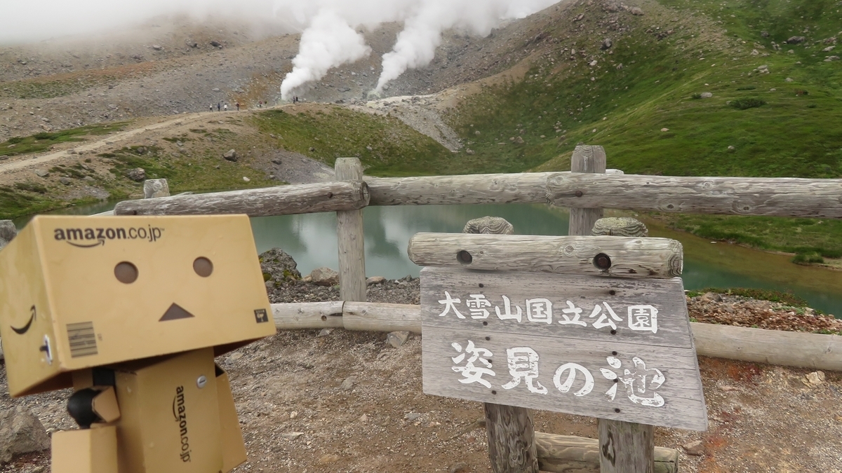 f:id:shirokumapanda:20200627233324j:plain
