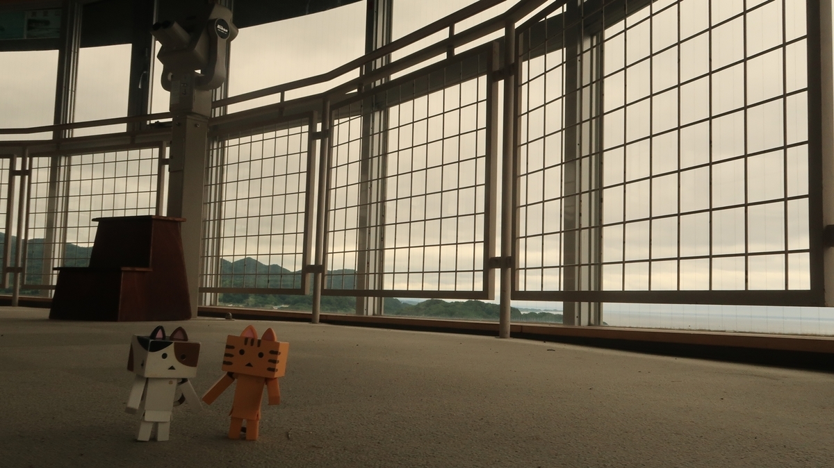 f:id:shirokumapanda:20200704234337j:plain