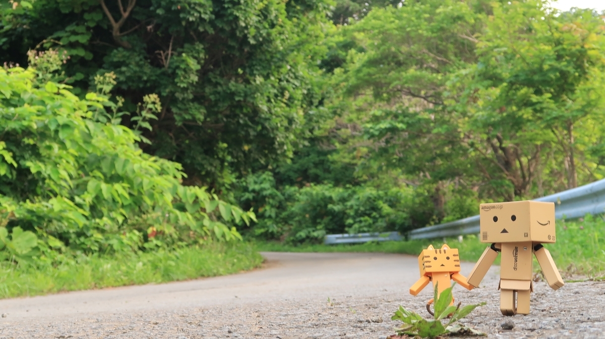 f:id:shirokumapanda:20200706013339j:plain