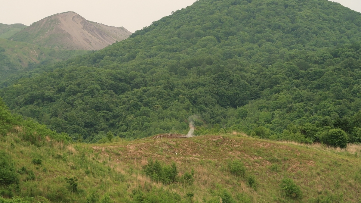 f:id:shirokumapanda:20200712004148j:plain