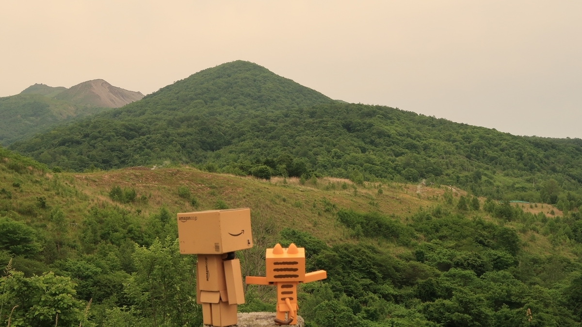 f:id:shirokumapanda:20200712004233j:plain