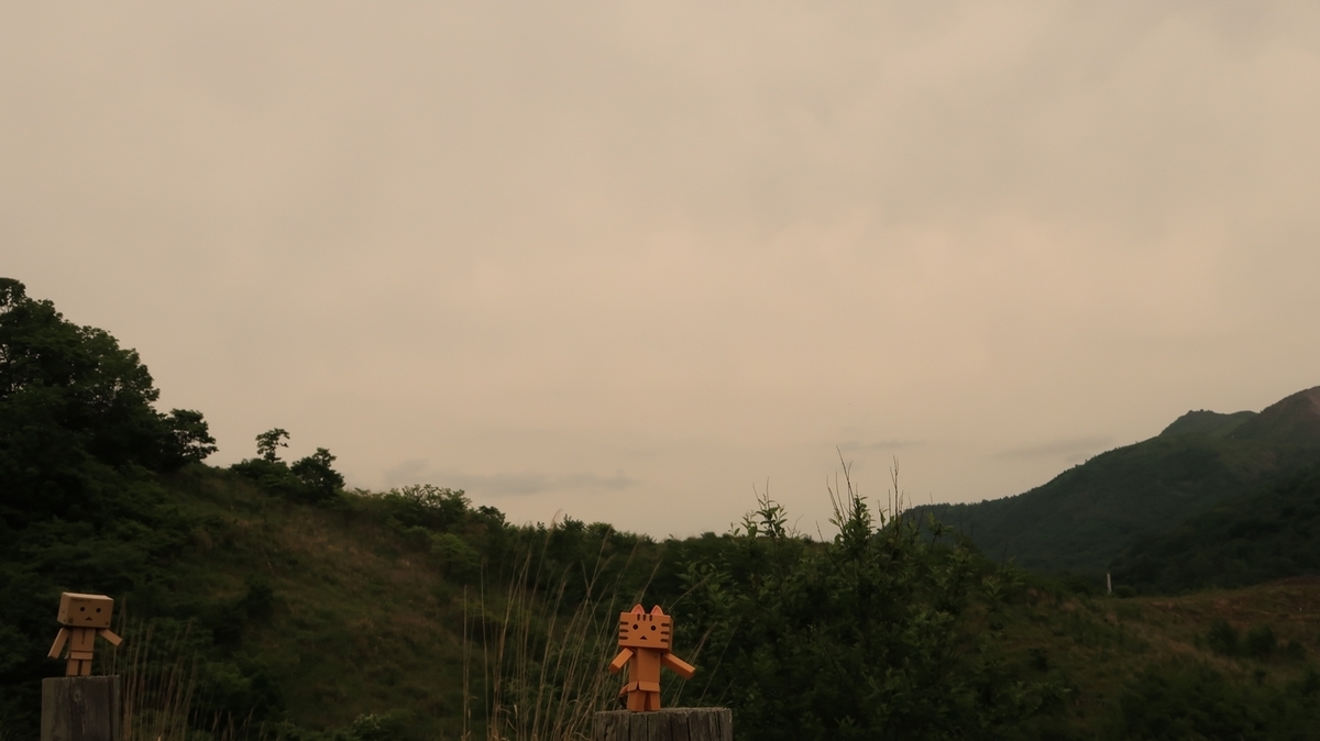 f:id:shirokumapanda:20200712004240j:plain