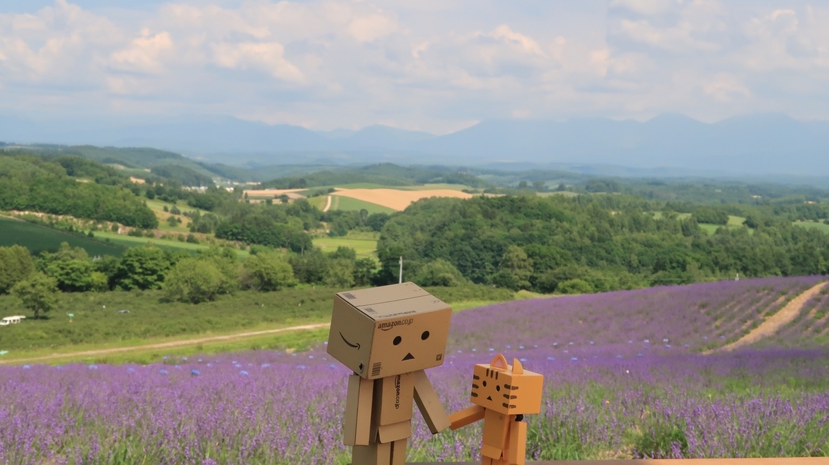 f:id:shirokumapanda:20200722010829j:plain f:id:shirokumapanda:20200722010829j:plain