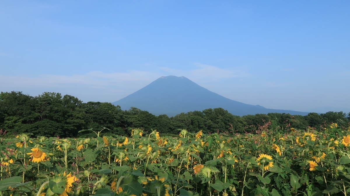 f:id:shirokumapanda:20200724225720j:plain