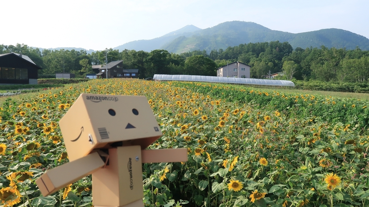 f:id:shirokumapanda:20200724225732j:plain