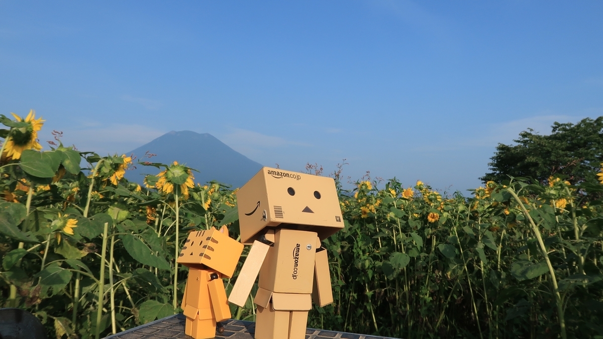 f:id:shirokumapanda:20200724225743j:plain