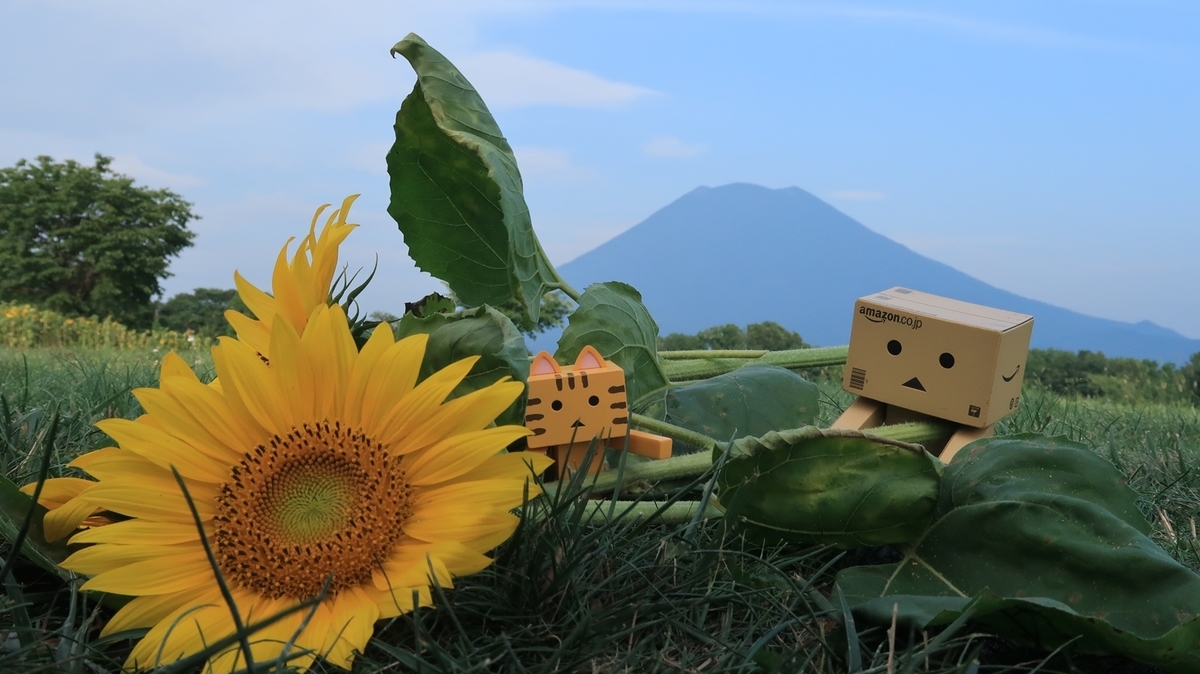 f:id:shirokumapanda:20200724225812j:plain