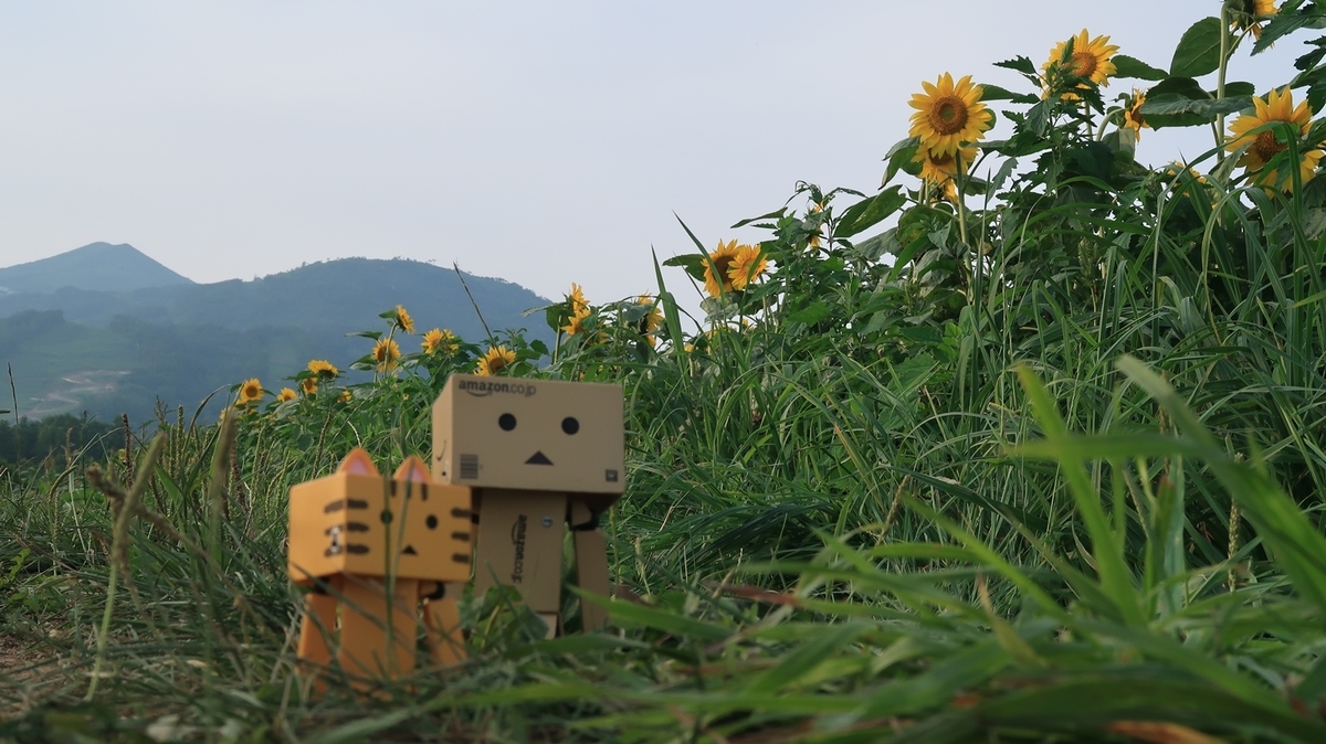 f:id:shirokumapanda:20200724225905j:plain