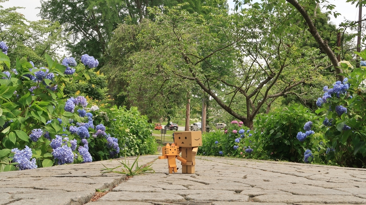 f:id:shirokumapanda:20200727014127j:plain