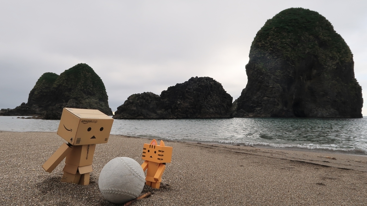 f:id:shirokumapanda:20200727014150j:plain